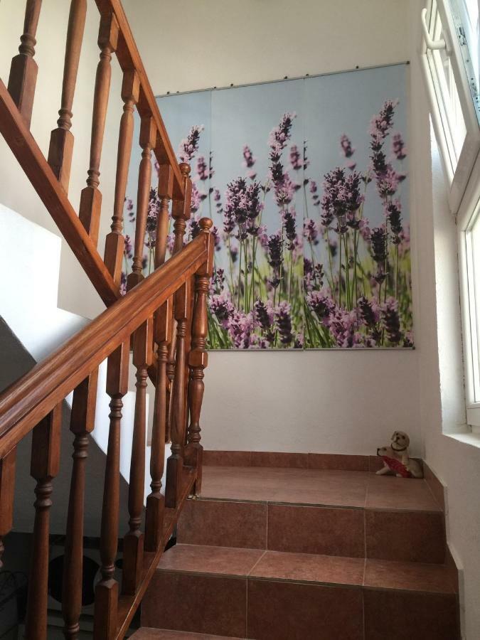 וודיצה Apartments Villa Dolmar מראה חיצוני תמונה